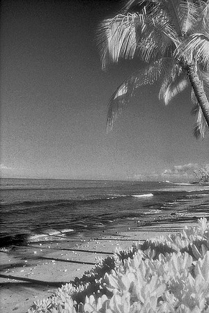 Maui, Hawaii