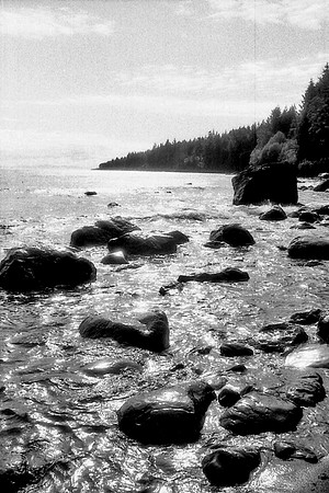 Washington coast