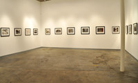 z gallery shot