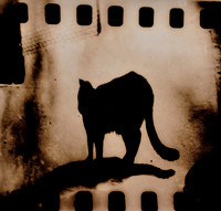 Shadowy, yet unbroken is a symbol and a token.