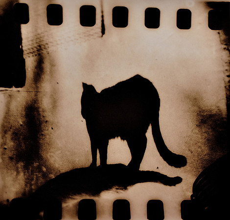 Shadowy, yet unbroken is a symbol and a token.