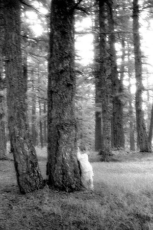Hide n seek