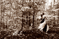 Accomplished maid...who dost not only dance in time, but steal, like time, along.