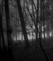 In a Fog