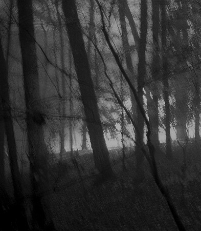 In a Fog