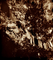 And fasten the clothes to dry, then out in the free fresh air they swing, under the sunny sky.