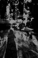 into the Chaos